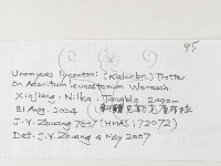 登錄號:F0026265藏品圖，第3張