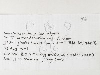 登錄號:F0026266藏品圖，第3張