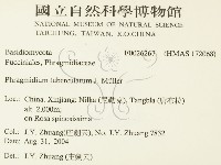 登錄號:F0026267藏品圖，第2張