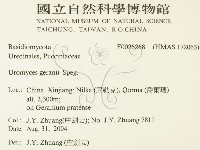 登錄號:F0026268藏品圖，第2張