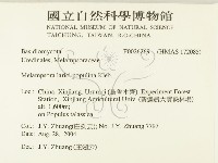 登錄號:F0026269藏品圖，第2張