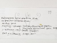 登錄號:F0026269藏品圖，第3張