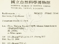 登錄號:F0026270藏品圖，第2張