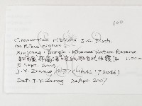 登錄號:F0026270藏品圖，第3張