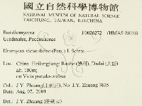 登錄號:F0026272藏品圖，第2張