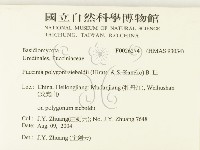 登錄號:F0026274藏品圖，第2張