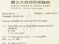 登錄號:F0026275藏品圖，第2張