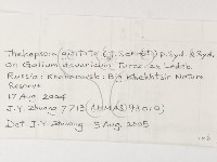 登錄號:F0026276藏品圖，第3張