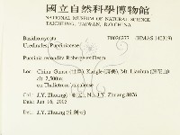 登錄號:F0026277藏品圖，第2張