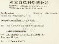 登錄號:F0026278藏品圖，第2張
