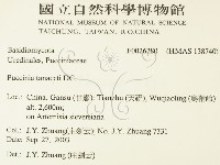 登錄號:F0026280藏品圖，第2張