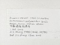 登錄號:F0026281藏品圖，第3張