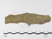 登錄號:F0026281藏品圖，第4張