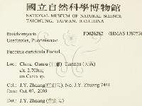 登錄號:F0026282藏品圖，第2張