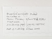 登錄號:F0026282藏品圖，第3張