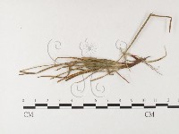 登錄號:F0026282藏品圖，第4張