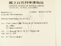 登錄號:F0026283藏品圖，第2張