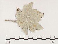 登錄號:F0026284藏品圖，第1張