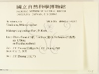 登錄號:F0026285藏品圖，第2張