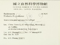 登錄號:F0026287藏品圖，第2張