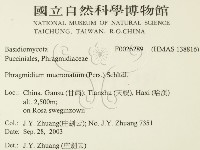 登錄號:F0026289藏品圖，第2張