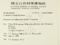 登錄號:F0026290藏品圖，第2張