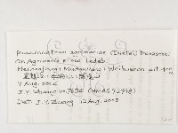 登錄號:F0026290藏品圖，第3張