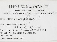 登錄號:F0026291藏品圖，第2張