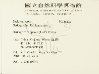 登錄號:F0026292藏品圖，第2張