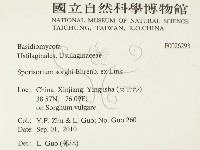 登錄號:F0026293藏品圖，第2張