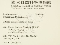 登錄號:F0026294藏品圖，第2張