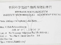 登錄號:F0026294藏品圖，第3張