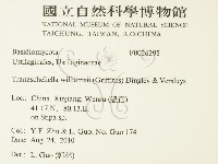 登錄號:F0026295藏品圖，第2張