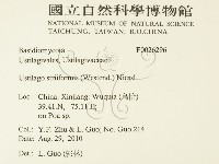 登錄號:F0026296藏品圖，第2張