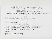 登錄號:F0026296藏品圖，第3張