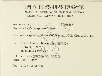 登錄號:F0026297藏品圖，第2張