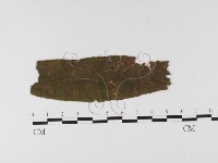 登錄號:F0026297藏品圖，第1張