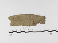 登錄號:F0026297藏品圖，第4張