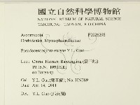 登錄號:F0026298藏品圖，第2張