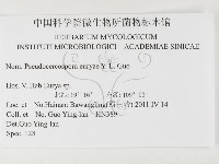 登錄號:F0026298藏品圖，第3張