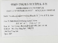 登錄號:F0026299藏品圖，第3張