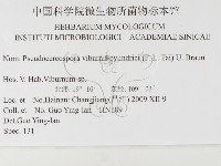 登錄號:F0026301藏品圖，第3張