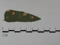登錄號:F0026302藏品圖，第1張