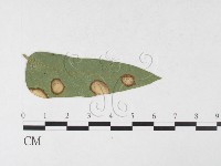 登錄號:F0026302藏品圖，第3張