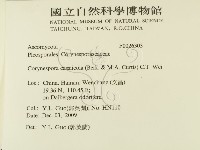 登錄號:F0026303藏品圖，第2張
