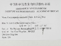 登錄號:F0026304藏品圖，第3張