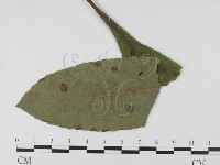 登錄號:F0026304藏品圖，第4張