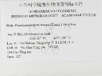 登錄號:F0026305藏品圖，第3張