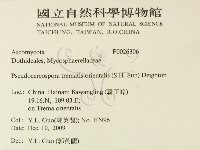 登錄號:F0026306藏品圖，第2張