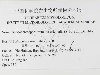 登錄號:F0026306藏品圖，第3張